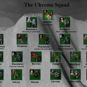 Organization Chrome
