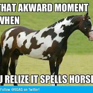 Dat Spelling
