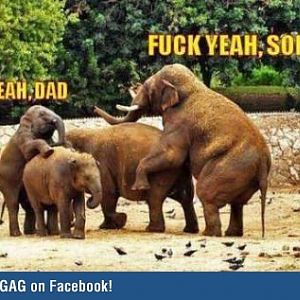 Like Father,like son
