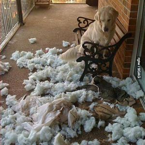 Exploded