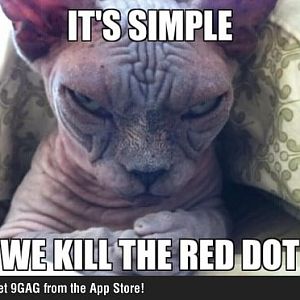 Sinister Cat
