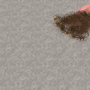 Thorn Missile