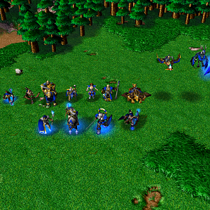 The entire High Elven army arrayed together with the Heroes.