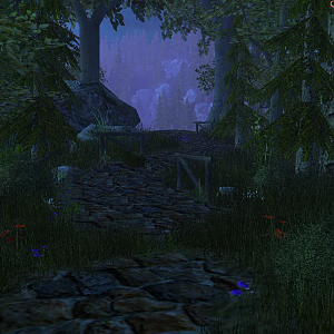 Forest
