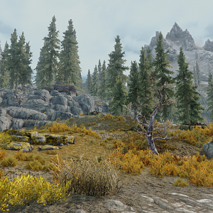 ENB 152 004