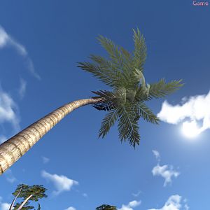 The Island Shoot 02