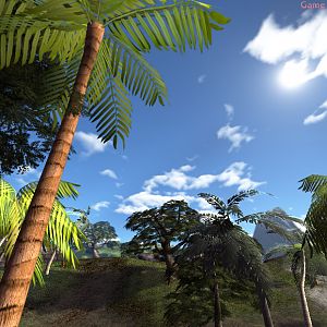 The Island Shoot 05