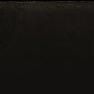 news bg