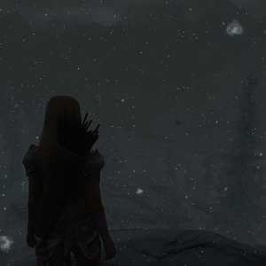 11 SnowNight