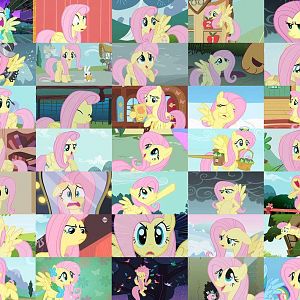 fluttershy17