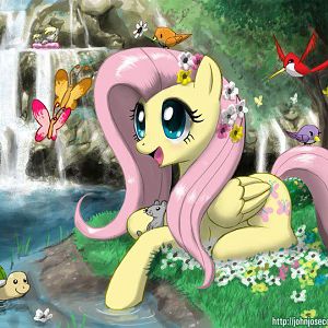 fluttershy20