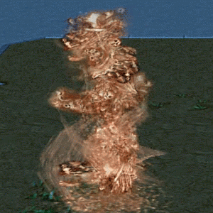Desert Cyclone