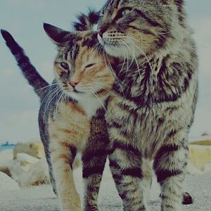 Love me