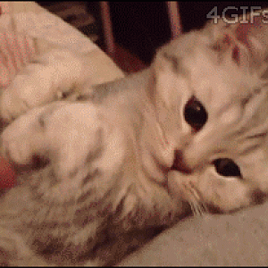 Put your hands up!