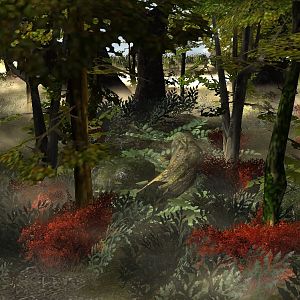 Western Forest near a swamp. 
Up to date.