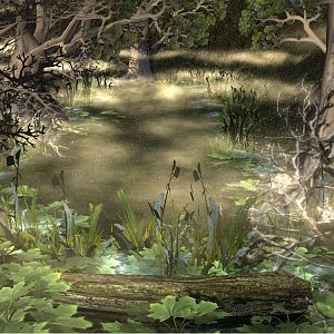 Western Swamp
Up to date.