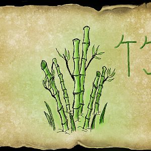 Bamboo