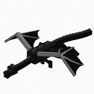 The Ender Dragon
Mighty as Shit