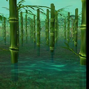 Bamboo