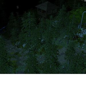 Terrain3