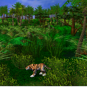 The Tiger