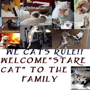 Welcome to the family.... Of evil catz!!!