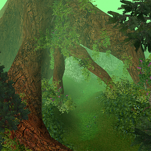 A giant tree in Dillianhor. The path under the tree leads to the south.