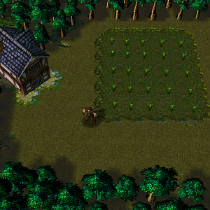 You, the fields and your house