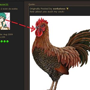 cockX