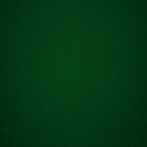 Forests wallpapers 346