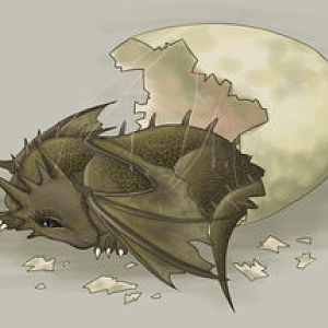Newly Hatched Dragon