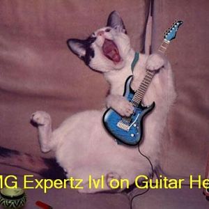 Hit it. waaaaaaaaw rock your way!