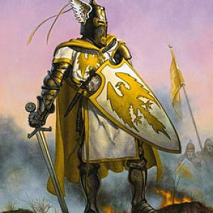 Paladin in the battle