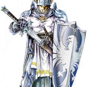 Real Paladin