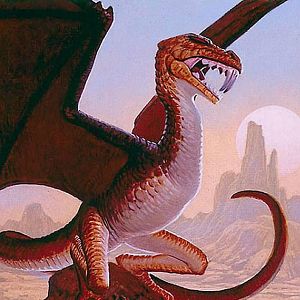 The strange wyvern.  Most people see the wyvern as an dragon with two feet and poison injected teeth. Classified as an dragon , but it's evolusion it'