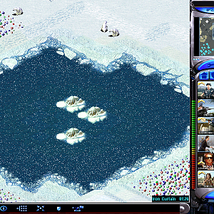 snow2