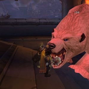 OH YOU WANT A PIECE OF ME BEAR?