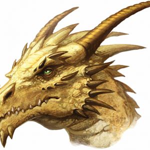 Yellow or Gold Dragon