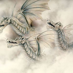 Dragons