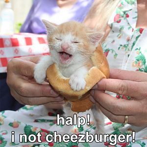 halp!