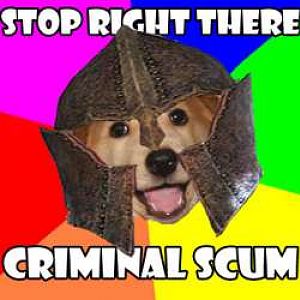 Oblivion advice dog