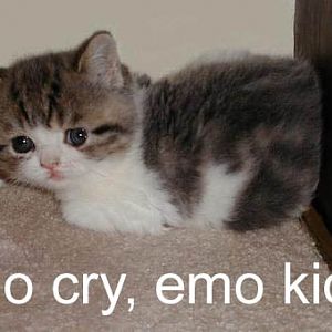 Kitty is emo D;