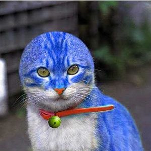 doraemon cat