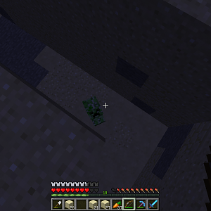 the first official moat victum