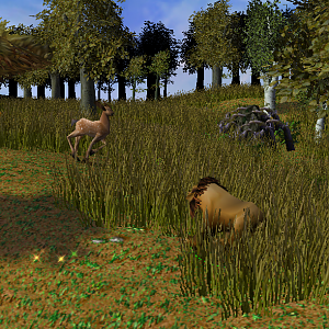 Lion Ambushing Antelope
