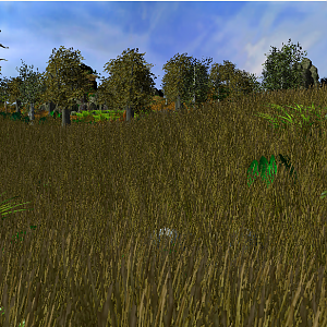 Savannah Terrain