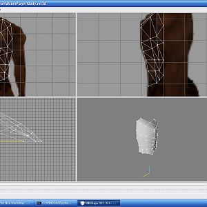 Working Body
