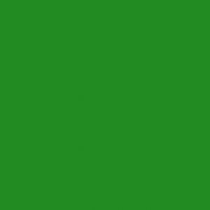 1280x1024 forest green for web solid color background
