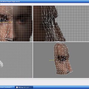 High Model Progres