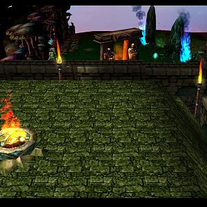 A Picture from the Template .